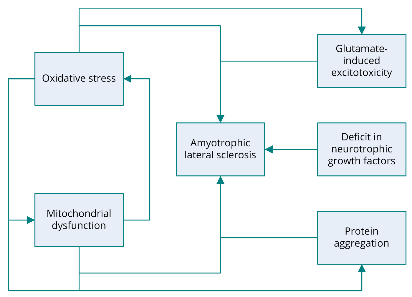 Figure 1.jpg